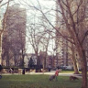 Meet your Posher, Denise